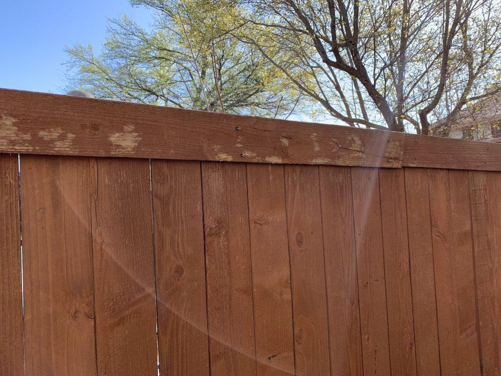 Experiencing Squirrel Damage On Your Fence? • Fence Makeovers 2022