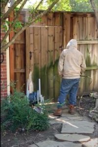 Before with green mold and black mildew-min Prep for a staining before on gate